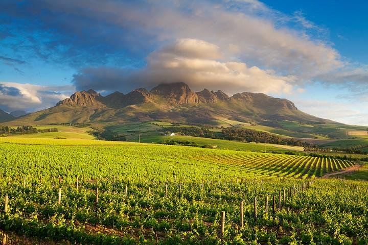 The Beautiful Cape Winelands